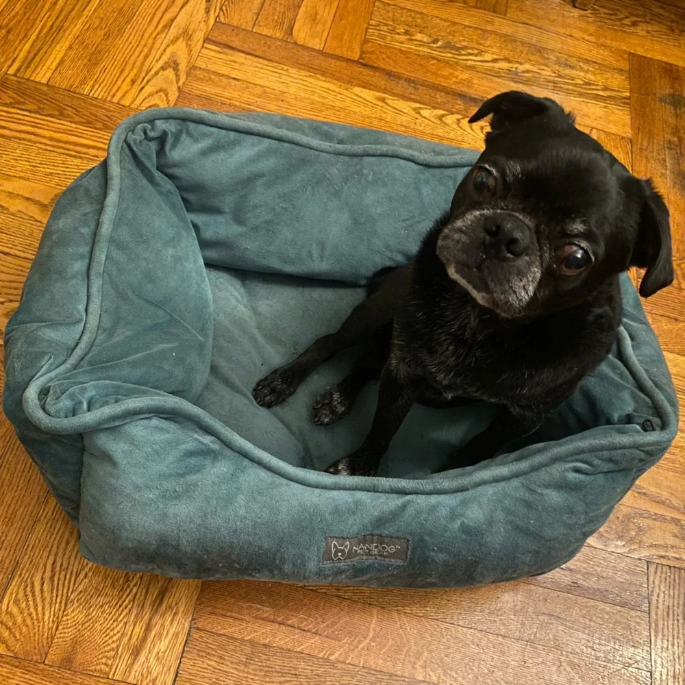 Turquoise soft dog bed